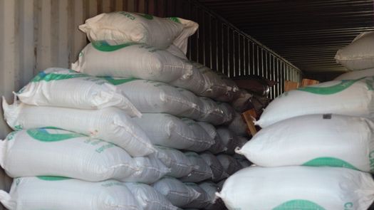 Unos 480 quintales de café de alta calidad se dio con una exportación entre la Asociación de Productores de Renacimiento (APRE) y la empresa privada.