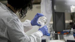Tratamiento contra el coronavirus podría estar disponible en el verano boreal