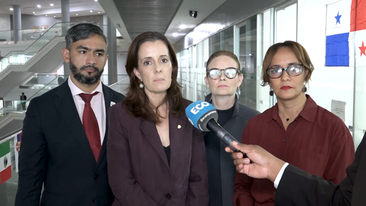 Diputados de Vamos ven dificil un consenso bajo la figura de Shirley Castañeda. Diputados de Vamos ven dificil un consenso bajo la figura de Shirley Castañeda.