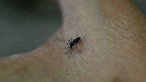 Casos por zika asciende a 64 en la Comarca Guna Yala y uno en Tocumen