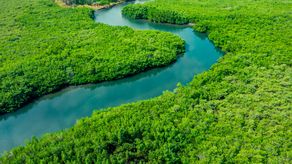 Brasil: el país que más se interesan por la protección del medio ambiente