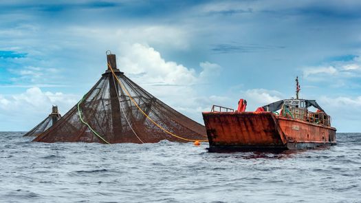 Panamá acogerá Evento Latinoamericano y del Caribe de Acuicultura