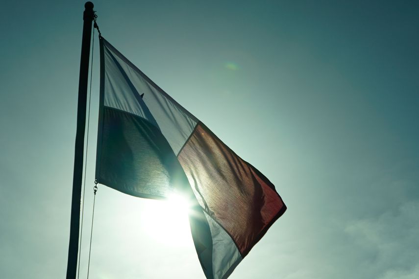 Elena Llorach: Falta campaña nacional por el Bicentenario