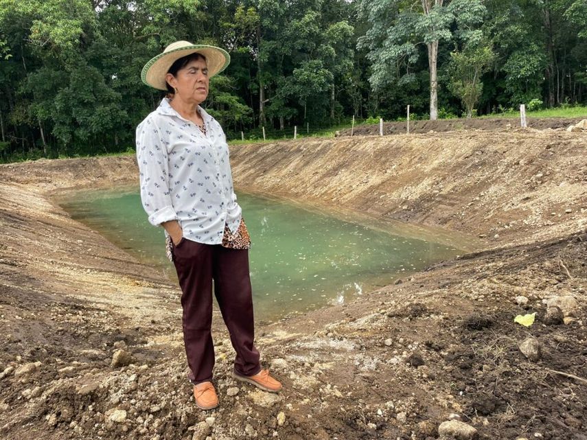 El director del MIDA en la regional de Chiriquí, Alcibiades Araúz, aseguró que se tiene programado unos 200 abrevaderos. El director del MIDA en la regional de Chiriquí, Alcibiades Araúz, aseguró que se tiene programado unos 200 abrevaderos.