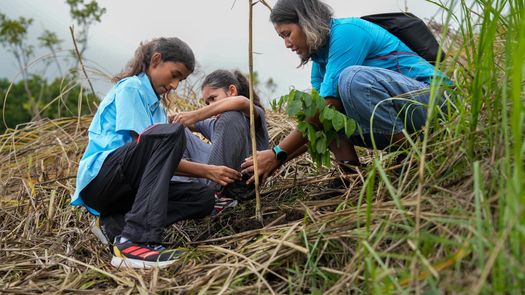 “La campaña de reforestación del 2026 de MiAMBIENTE que iniciamos en el día de hoy representa un paso concreto para cuidar y recuperar nuestra naturaleza.