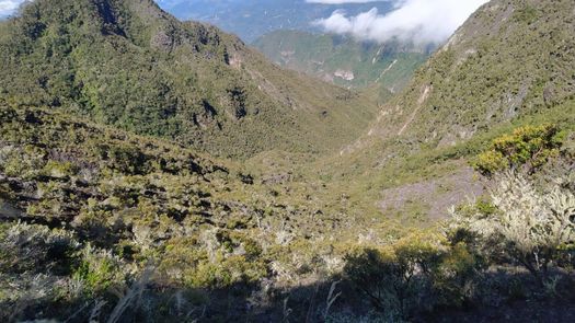 MiAmbiente realiza mejoras en senderos del Parque Nacional Volcán Barú
