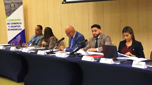 Comisión de Comercio de la Asamblea Nacional.