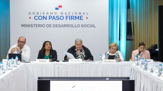La directora de la Senniaf participó de la reunión extraordinaria del CONNA. La directora de la Senniaf participó de la reunión extraordinaria del CONNA.