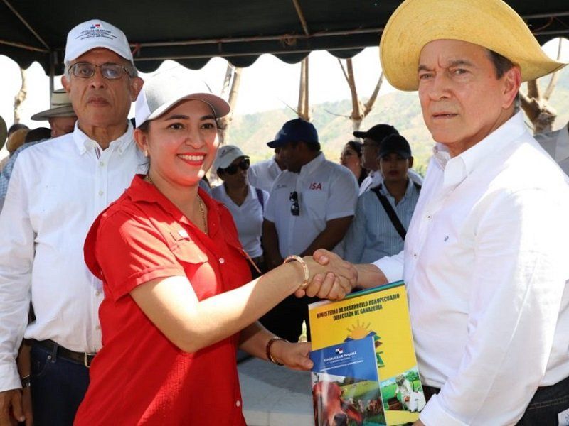 Intensifica programa de mejoramiento bovino en Azuero