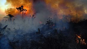 Deforestación de la Amazonía brasileña alcanza récord para octubre