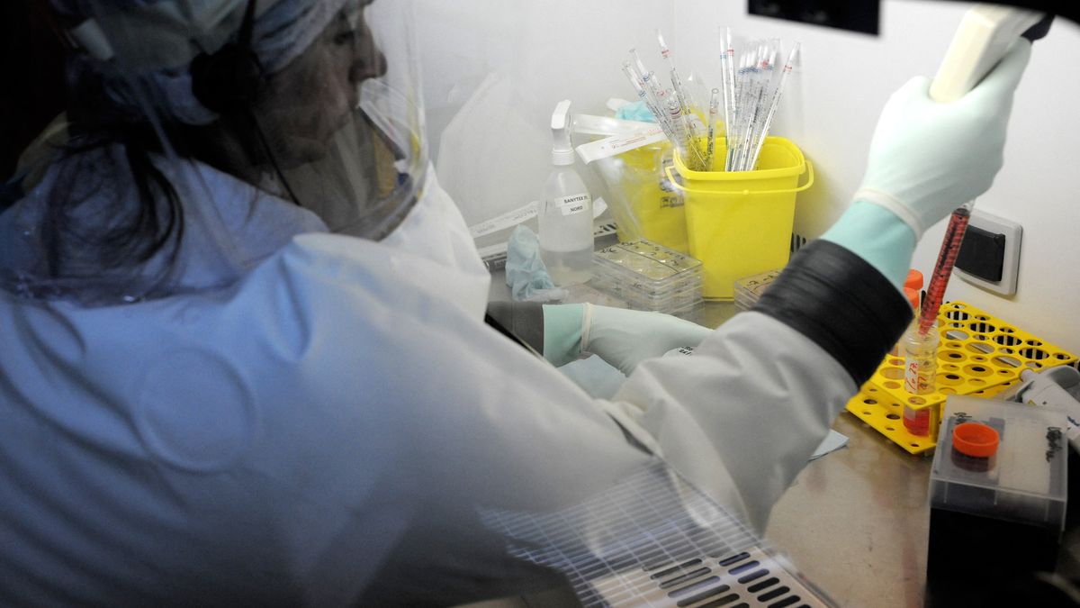 OMS pide urgentemente a Europa tratar aumento de casos de viruela del mono