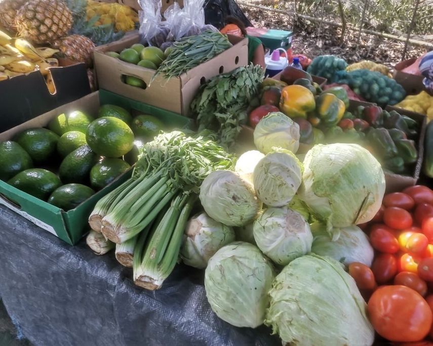 IMA da a conocer calendario de Agroferias para el 19 y 20 de abril