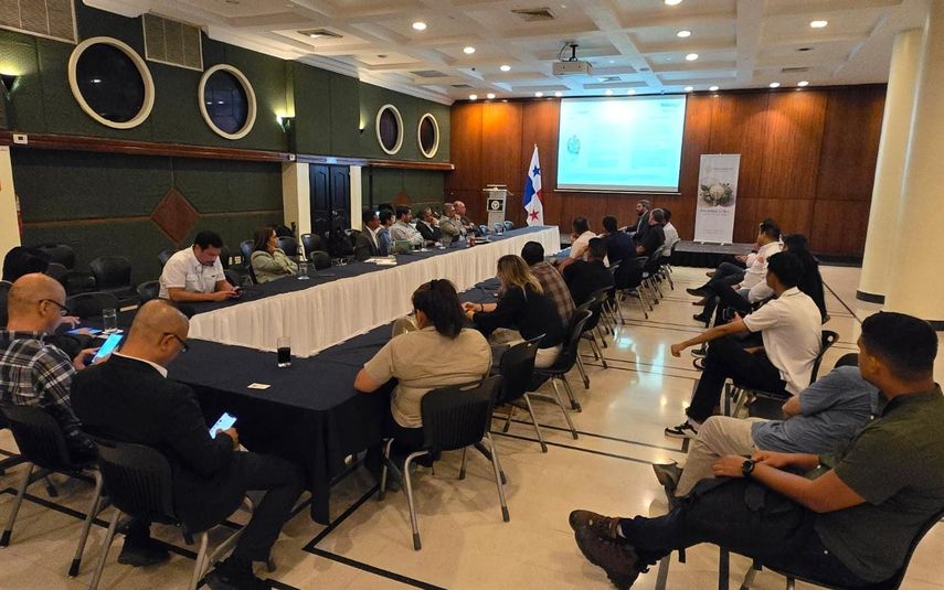 Naturgy anunció oficialmente que no ingresará al mercado de instalación de paneles solares, centrándose en mejorar su servicio eléctrico. Naturgy anunció oficialmente que no ingresará al mercado de instalación de paneles solares, centrándose en mejorar su servicio eléctrico.