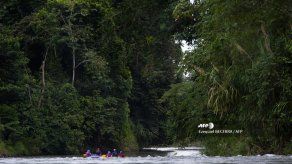 Costa Rica ofrece a turistas compensar huella de carbono con aporte a economía verde
