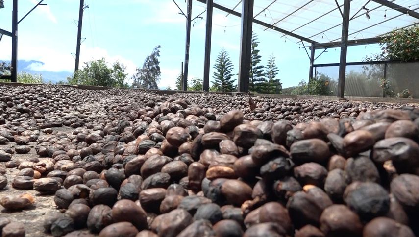 Best Of Panama será en Valle Escondido