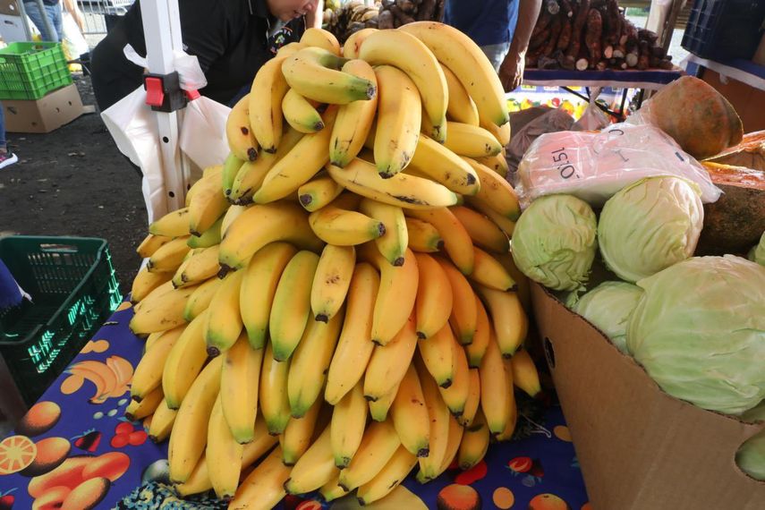 Conozca el calendario de las agroferias del IMA con productos de la canasta básica a bajo costo. Conozca el calendario de las agroferias del IMA con productos de la canasta básica a bajo costo.
