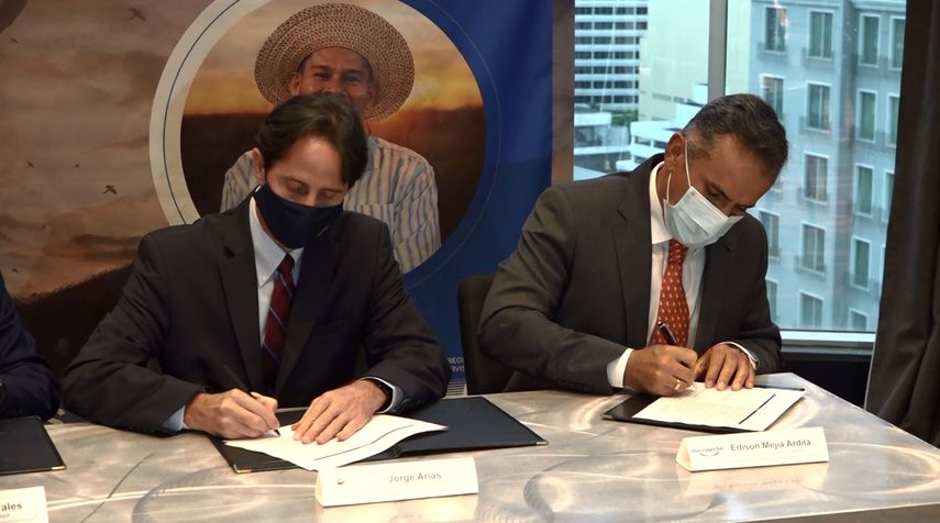 Microseguro: la nueva industria en Panamá