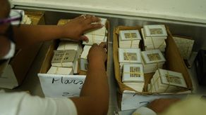 Los stickers se están entregando en las instalaciones del mercado San Mateo de David.