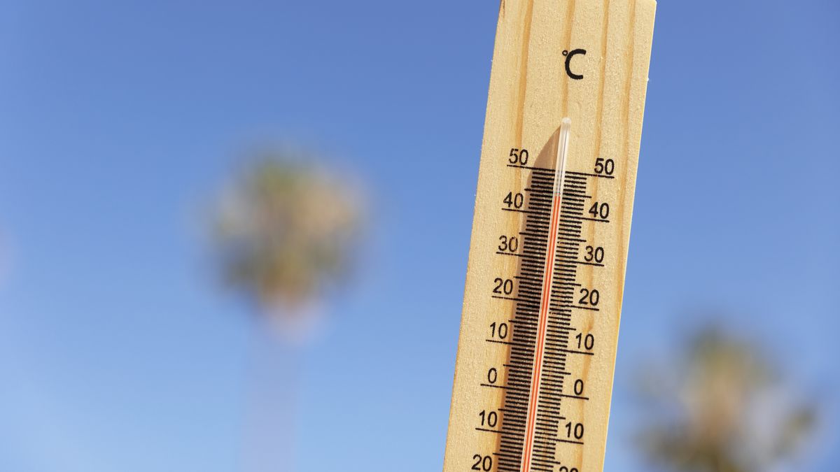 El Niño podría regresar y provocar un nuevo aumento de temperaturas globales, advierte ONU El Niño podría regresar y provocar un nuevo aumento de temperaturas globales, advierte ONU