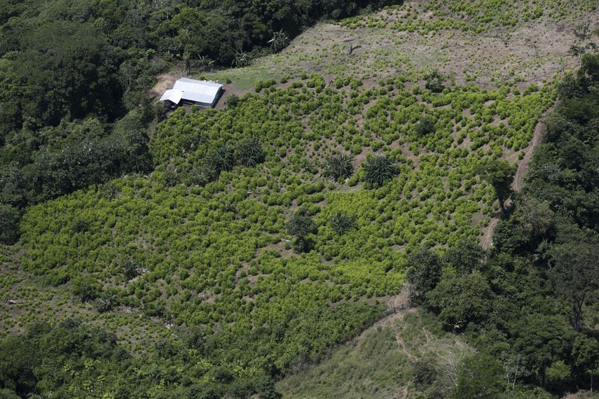 En medio de la espesura de la jungla del Darién