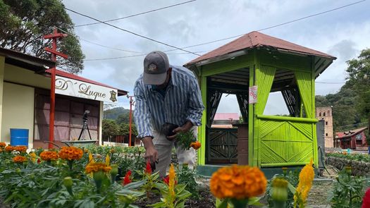 En la feria de Boquete, hay más de 20 jardines que preparados por expertas manos de trabajadores del campo con meses de anticipación.