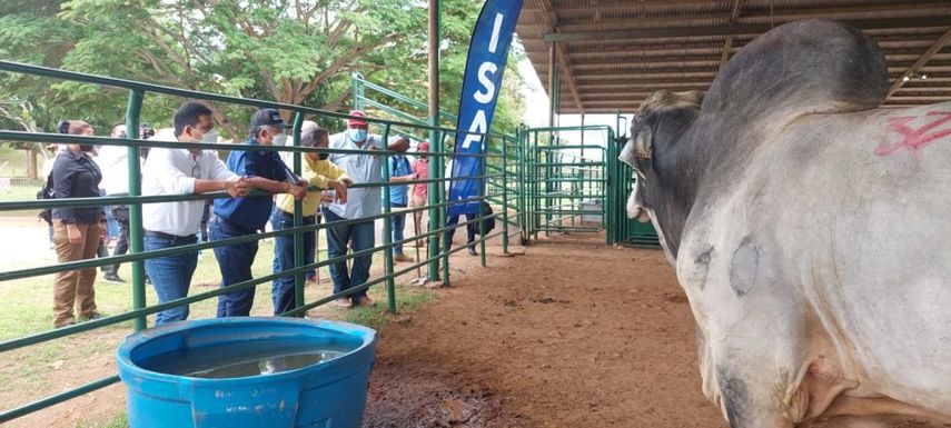 Panamá va por buen camino para la exportación de carne al mercado de los Estados Unidos, anunció el presidente de la República, Laurentino Cortizo en una Gira de Trabajo Comunitario en la provincia de Herrera.