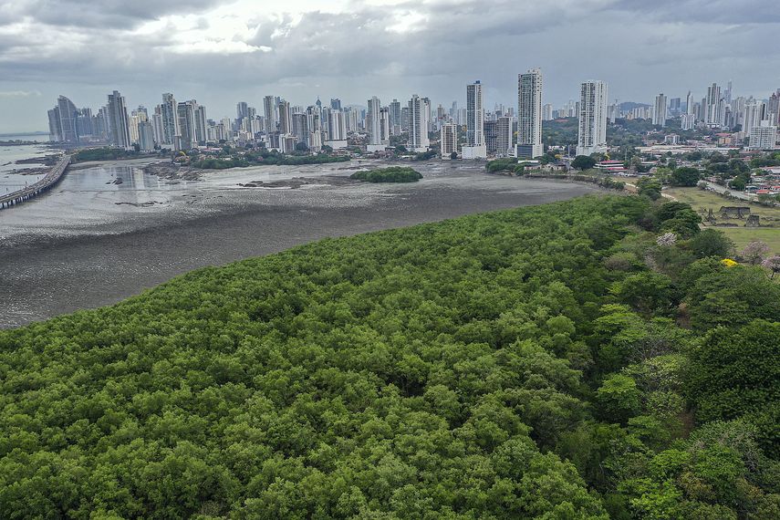 Panamá protege sus humedales para luchar contra el cambio climático