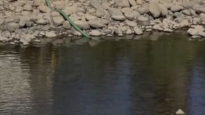 Para este jueves cayó la primera lluvia en algunos sectores de tierras bajas en Chiriquí, pero no es suficiente para el caudal que se requiere en los ríos.