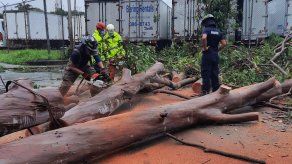 Fuertes vientos dejan afectaciones