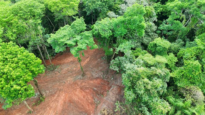 MiAMBIENTE atiende denuncia en Área Protegida Lago Gatún y retiene maquinaria