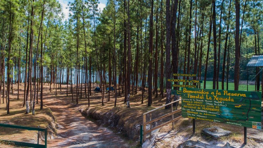 Panamá celebra el Día Internacional de los Parques Nacionales con 18 áreas protegidas