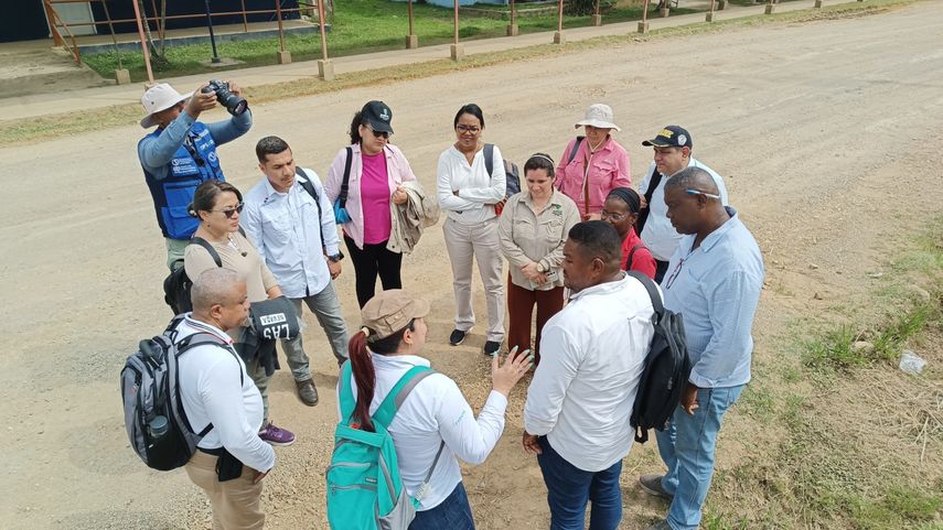 Minsa en alerta por 230 casos de virus Oropouche confirmados