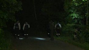 Intensa búsqueda de niño abandonado en un bosque de Japón como castigo