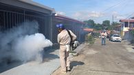 El Minsa continúa intensificando los operativos de control de vectores para evitar casos de dengue. El Minsa continúa intensificando los operativos de control de vectores para evitar casos de dengue.