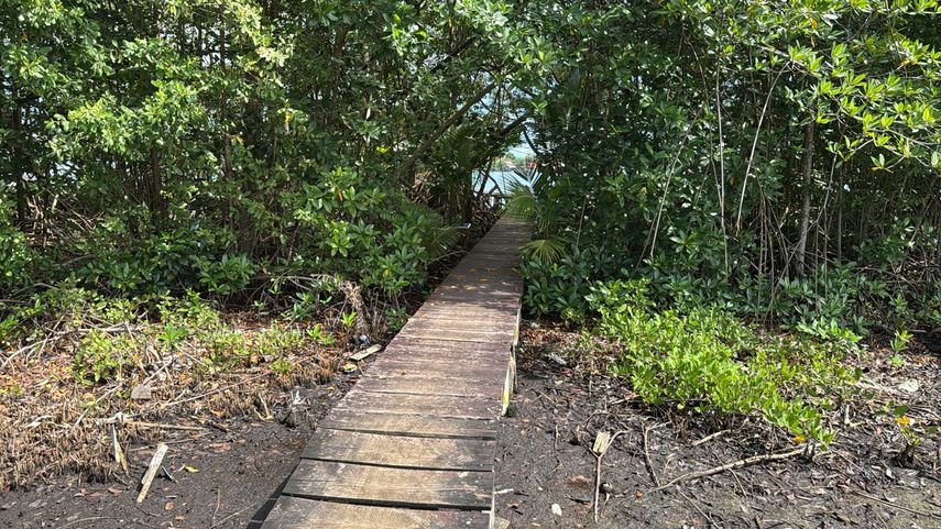 Aeronáutica Civil denuncia puentes improvisados cerca de aeropuerto en Bocas del Toro