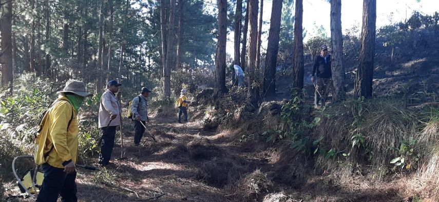 El Benemérito Cuerpo de Bomberos de la República de Panamá (BCBRP), en conjunto con el Ministerio de Ambiente (MiAmbiente), informó que el incendio en la reserva de La Yeguada ha sido completamente controlado. El Benemérito Cuerpo de Bomberos de la República de Panamá (BCBRP), en conjunto con el Ministerio de Ambiente (MiAmbiente), informó que el incendio en la reserva de La Yeguada ha sido completamente controlado.