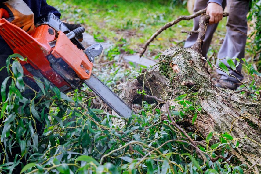 Panamá implementa acciones urgentes para prevenir impactos ambientales. Panamá implementa acciones urgentes para prevenir impactos ambientales.