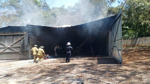 Bomberos de la Zona Regional de Chiriquí acudieron al llamado. Bomberos de la Zona Regional de Chiriquí acudieron al llamado.
