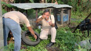 Casos de dengue continúan en descenso