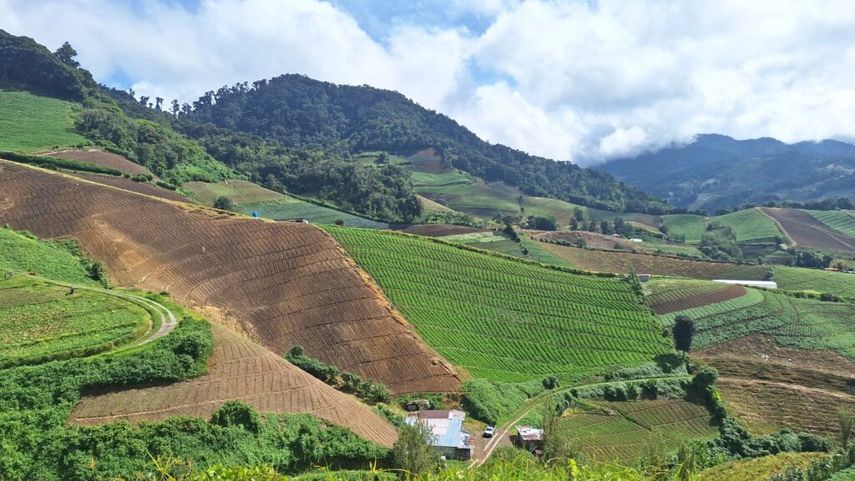 La Semana del Clima es una plataforma para impulsar en Panamá y en el resto del continente, acciones a favor de todas las actividades relacionadas con el clima. La Semana del Clima es una plataforma para impulsar en Panamá y en el resto del continente, acciones a favor de todas las actividades relacionadas con el clima.