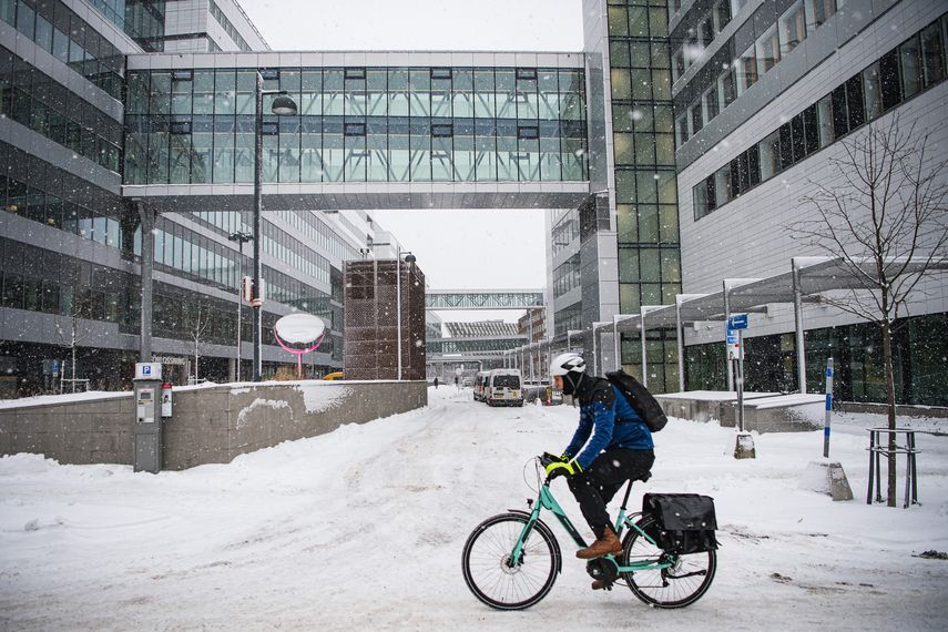 Suecia reporta el primer caso de viruela del mono