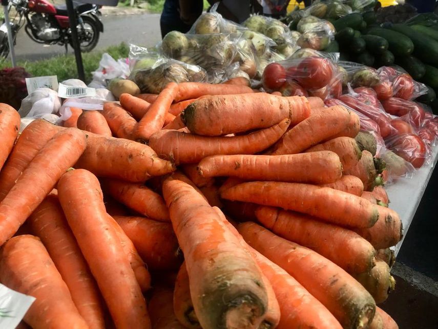 El Instituto de Mercadeo Agropecuario (IMA) informó hoy que para este jueves 21 de septiembre habrá Agroferias en varios puntos del país, donde los panameños pueden adquirir productos de la canasta básica, frutas y verduras a bajos costos. El Instituto de Mercadeo Agropecuario (IMA) informó hoy que para este jueves 21 de septiembre habrá Agroferias en varios puntos del país, donde los panameños pueden adquirir productos de la canasta básica, frutas y verduras a bajos costos.