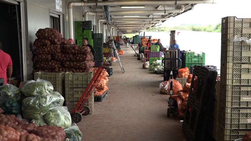 Subsidio de combustible para toda el país no está contemplado