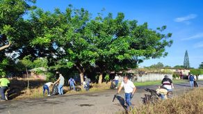 La Alcaldía de David organizó una jornada de barrido, limpieza y recolección de basura en ocho corregimientos el distrito.