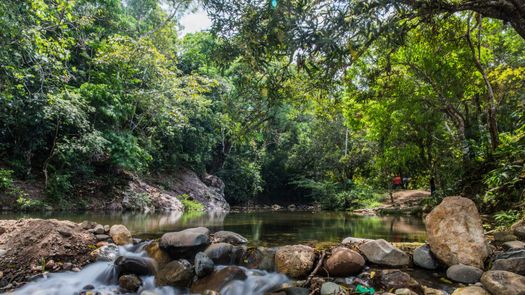 Áreas protegidas en Panamá. Foto: MiAmbiente.