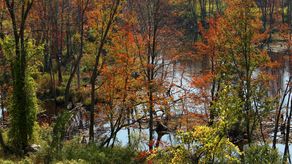 Cambio climático amenaza los colores de los bosques en otoño en América del Norte