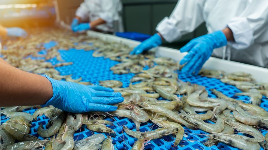 Exportaciones totales de Panamá crecen 5.2% al mes de agosto