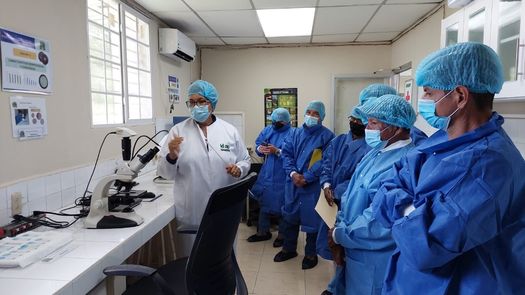 Esta gira complementa a una serie de capacitaciones que el IDIAP ha ofrecido a los productores de La Cooperativa La Esperanza de los Campesinos, de Santa Fe de Veraguas, sobre plagas y enfermedades del cultivo de café.