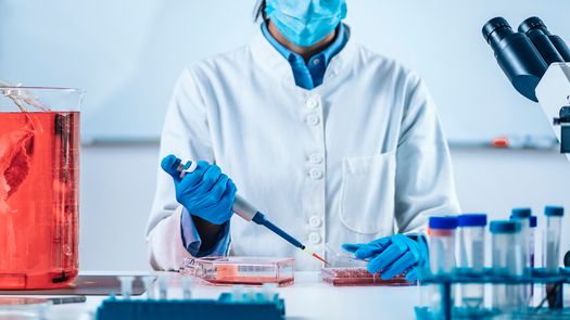Estados Unidos aprueba venta de carne de pollo creada en laboratorio