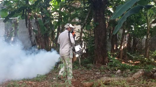 Casos de dengue en Chiriquí superan años anteriores